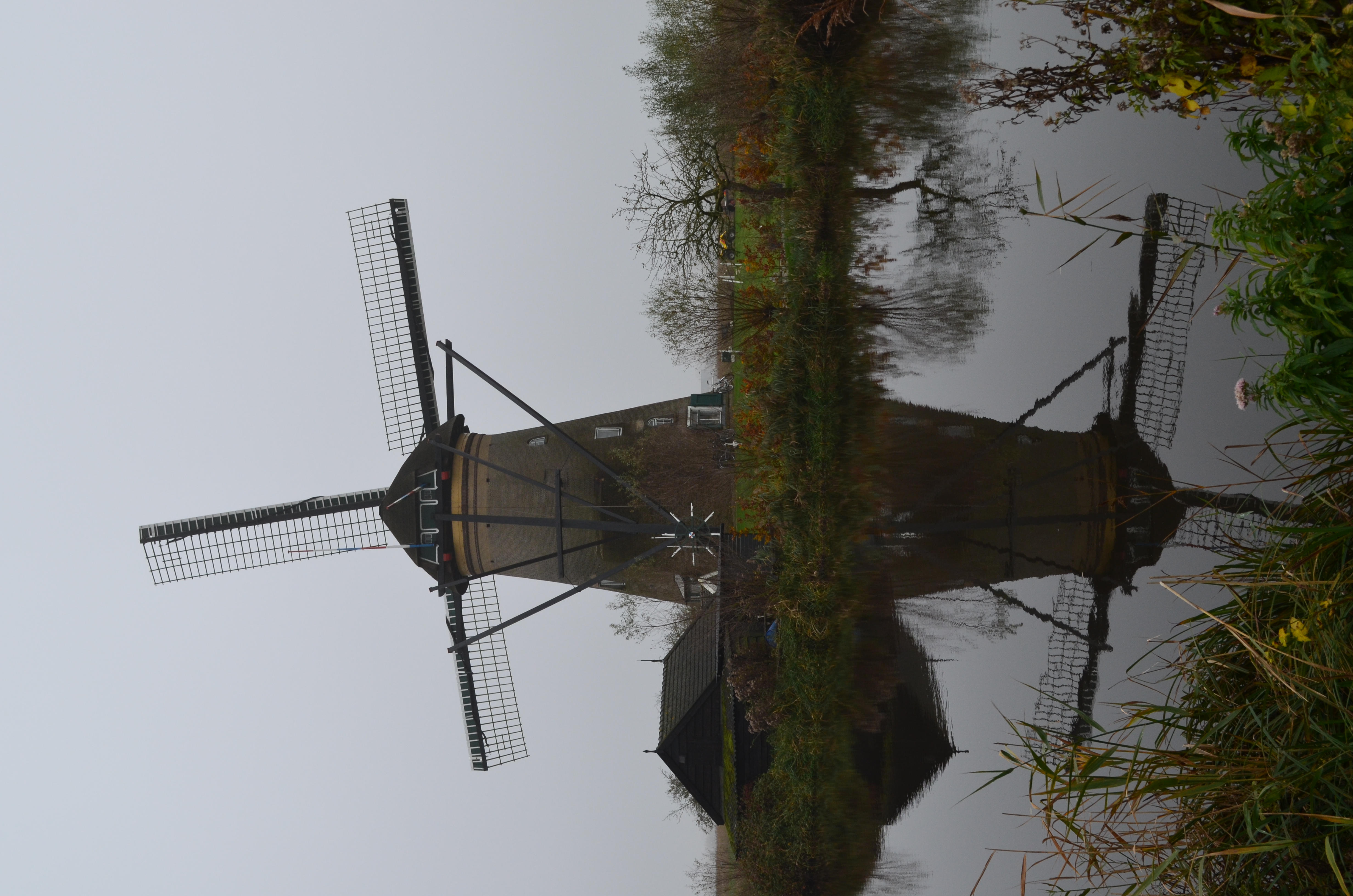 ./2017/19 - Viking Lif/12 - Kinderdijk, The Netherlands/DSC_0272.JPG